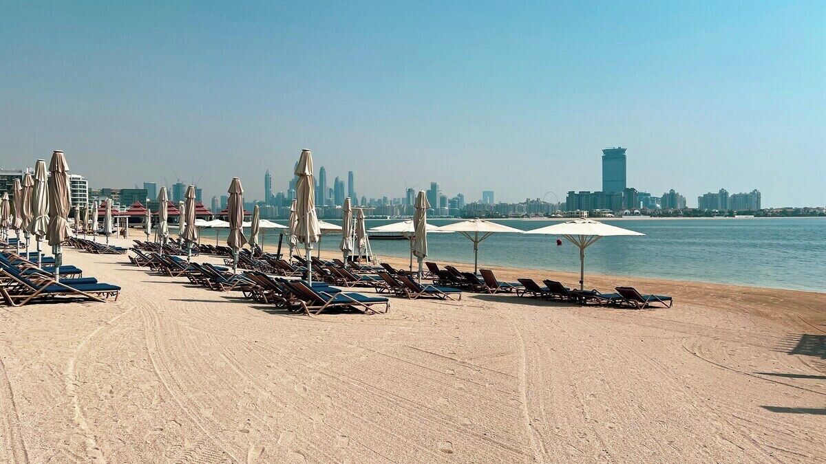 A beach with rows of sun loungers and umbrellas, a clear sky, and a city skyline in the background.