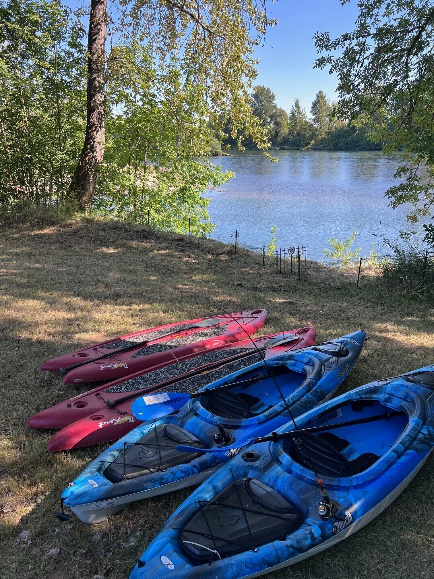Kajaks am grasbewachsenen Ufer eines Sees, im Hintergrund Bäume.