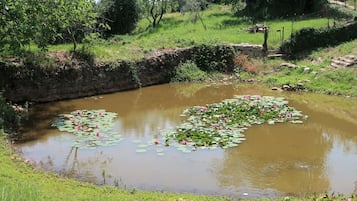 Área da propriedade