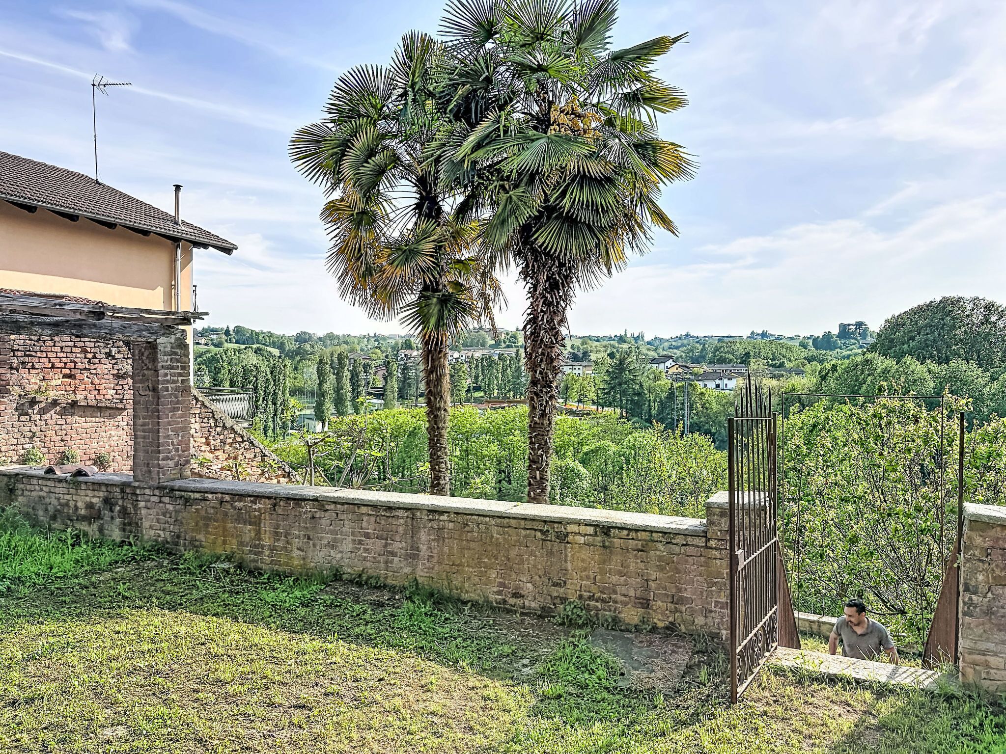 A residential area with a brick wall, a palm tree, and a view of a distant town.