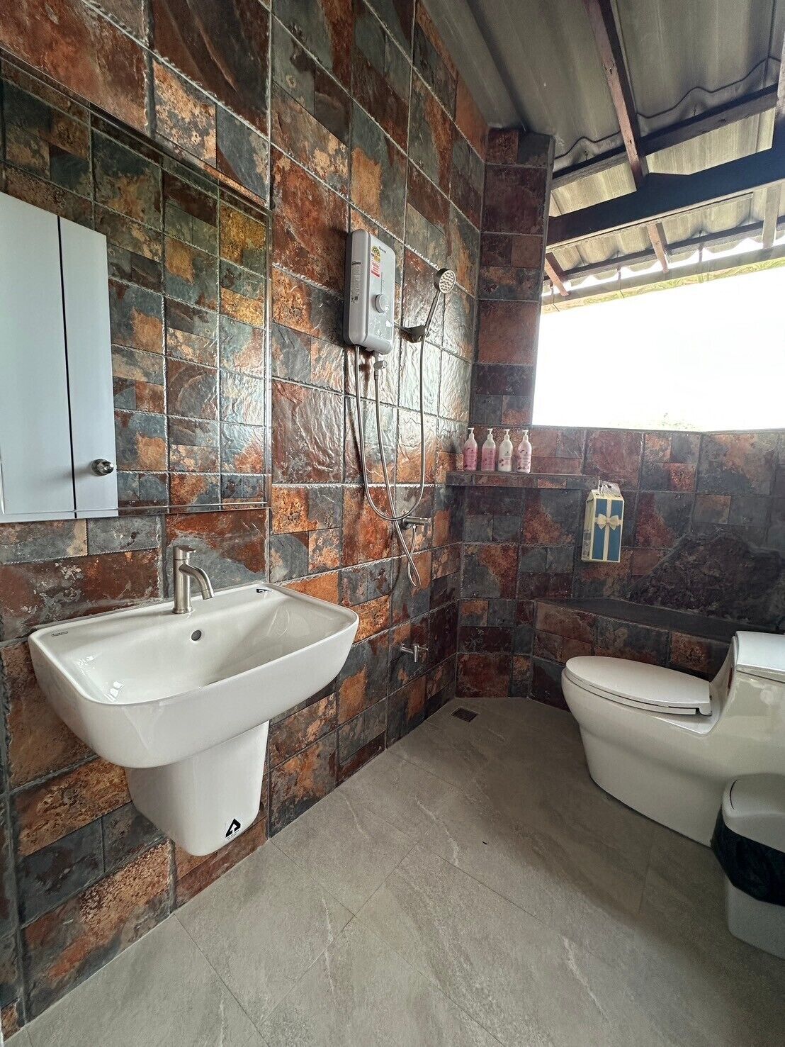Une salle de bain avec un grand lavabo, des toilettes et une douche.