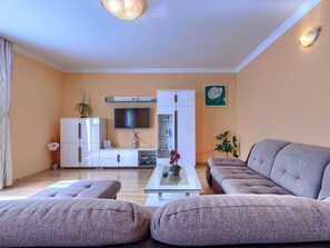 Fernseher