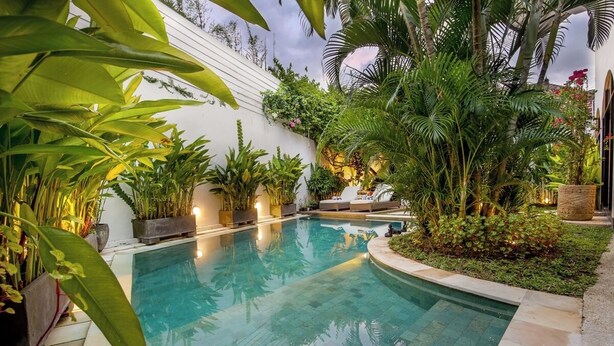 A swimming pool surrounded by lush greenery and a white wall. - Homey 5 BR Villa In Seminyak (Seminyak)