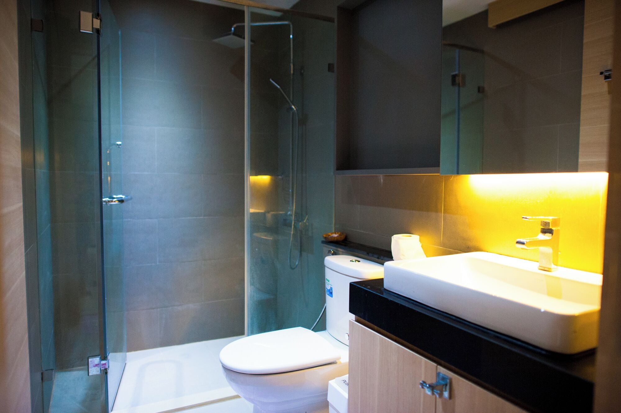 Shower, hair dryer, bidet, towels