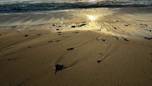 Ein Strand mit untergehender Sonne über dem Meer, der eine ruhige und friedliche Atmosphäre schafft.