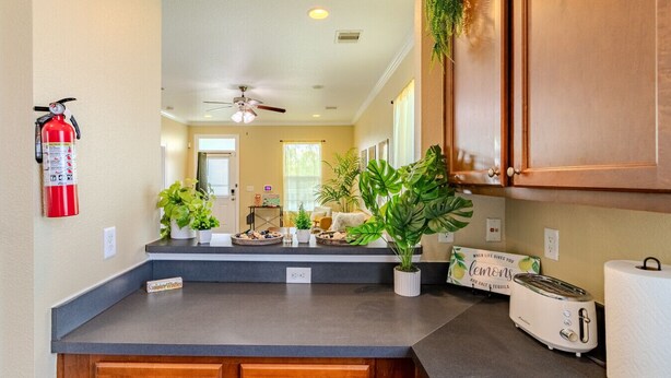 Une cuisine avec des meubles en bois, un ventilateur de plafond et des plantes en pot.