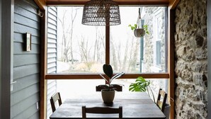 Un coin repas avec une table et des chaises en bois, une plante en pot et un luminaire suspendu.