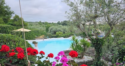Apartment with garden view