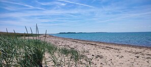 Uma praia com areia e água, vegetação em primeiro plano e uma terra firme ao longe.
