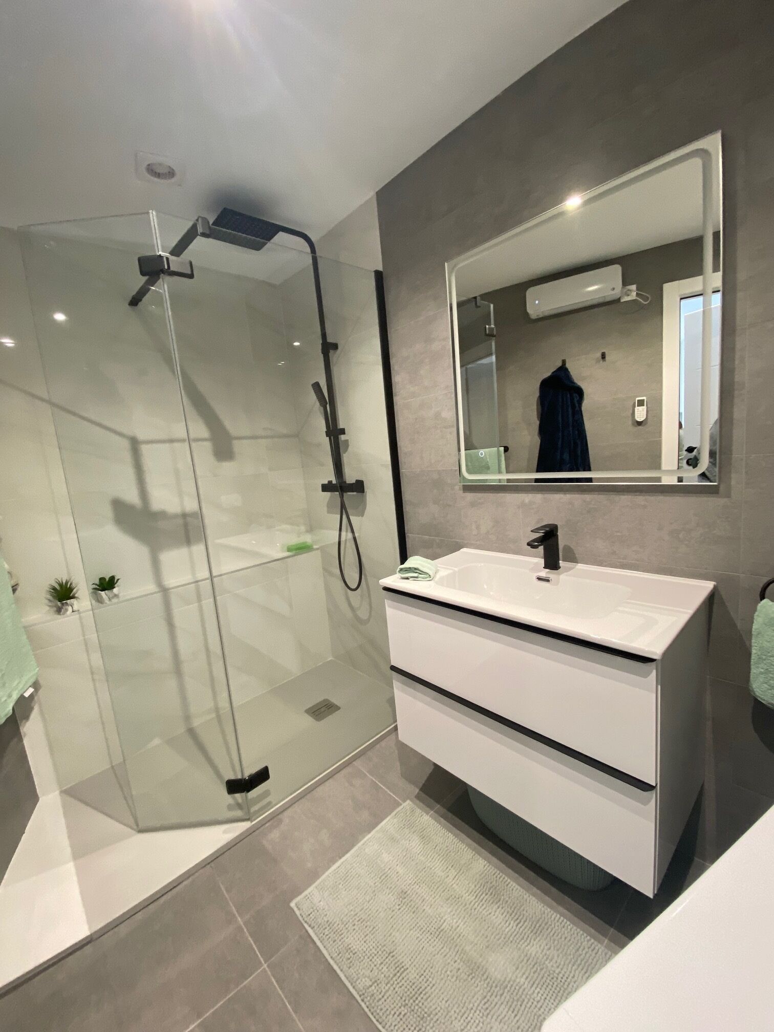 Een moderne badkamer met een douchecabine van glas, een wit wastafelmeubel met een spiegel en een kleine plant op het meubel.