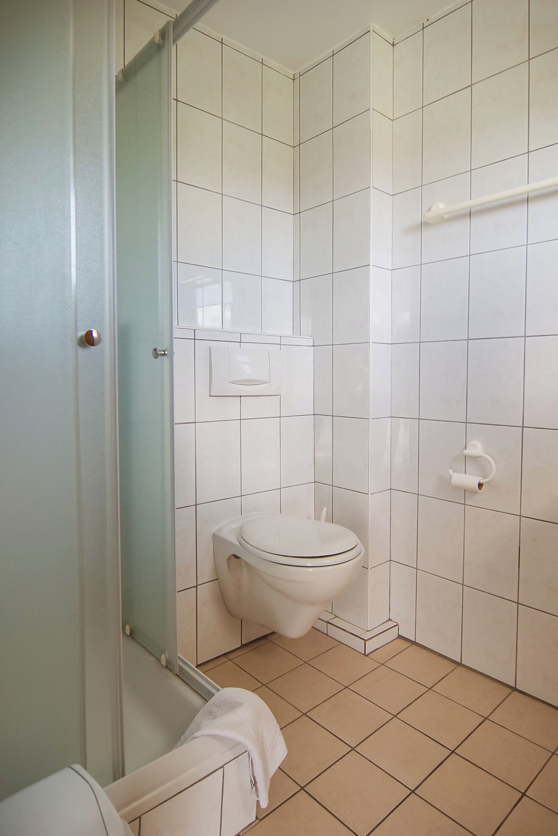 A bathroom with a toilet, a shower area, and a towel rack.