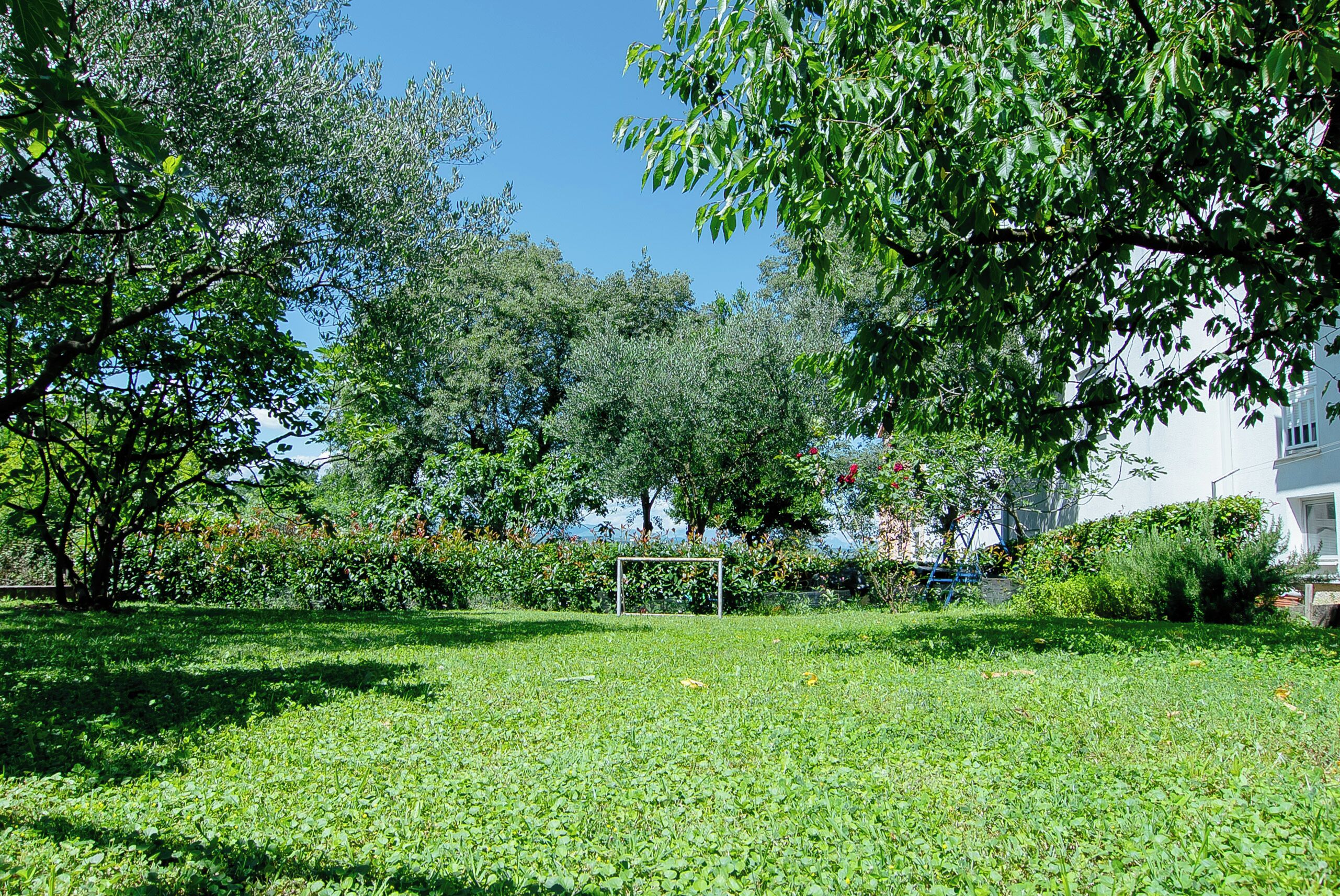 Ein Park mit einem Fußballtor, Bäumen und einem Gebäude im Hintergrund.