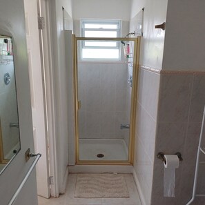 Shower, towels, soap, toilet paper