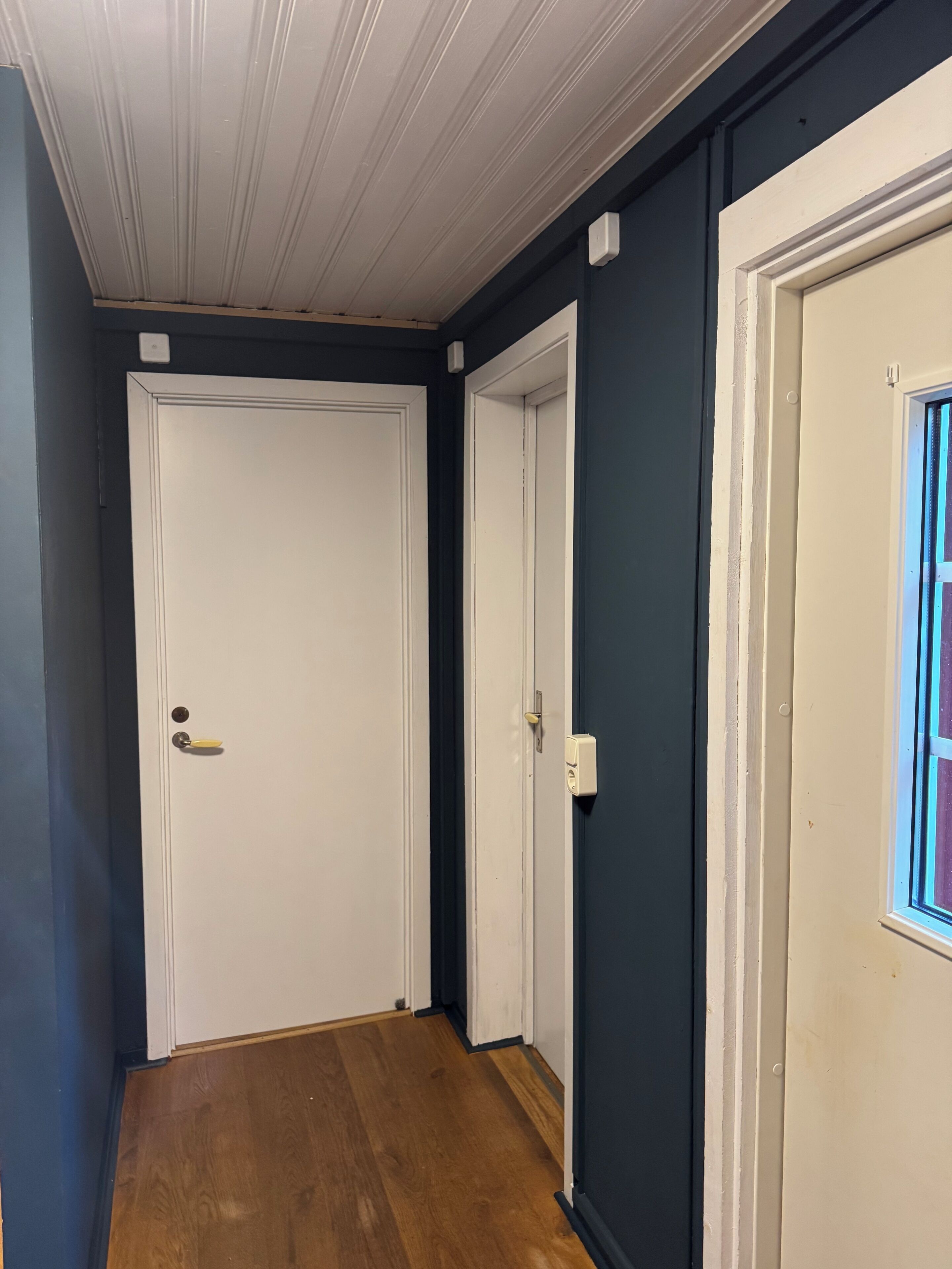 A hallway with wooden flooring, white doors, and dark walls.