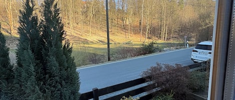 A view from a window overlooking a road with a white car, a wooden fence, and coniferous trees.