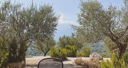 Pietra Pizzuta Country House "Castello" in the heart of Abruzzo. 1 pool