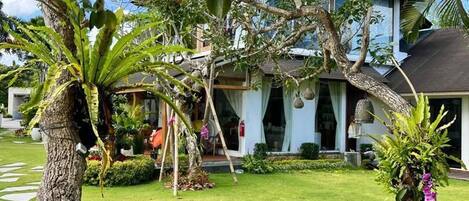 Una casa moderna con césped cuidado y plantas tropicales.
