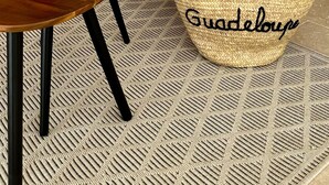 A cozy room with a red armchair, a woven basket labeled "Guadeloupe," and a potted fern.