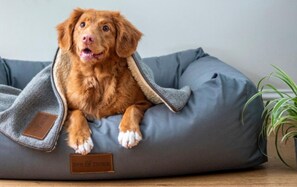 A dog resting on a grey pet bed with a label that reads "Twy & Duke".
