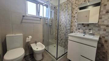 Shower, hair dryer, bidet, towels