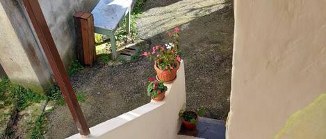 المنطقة المحيطة بالمنشأة