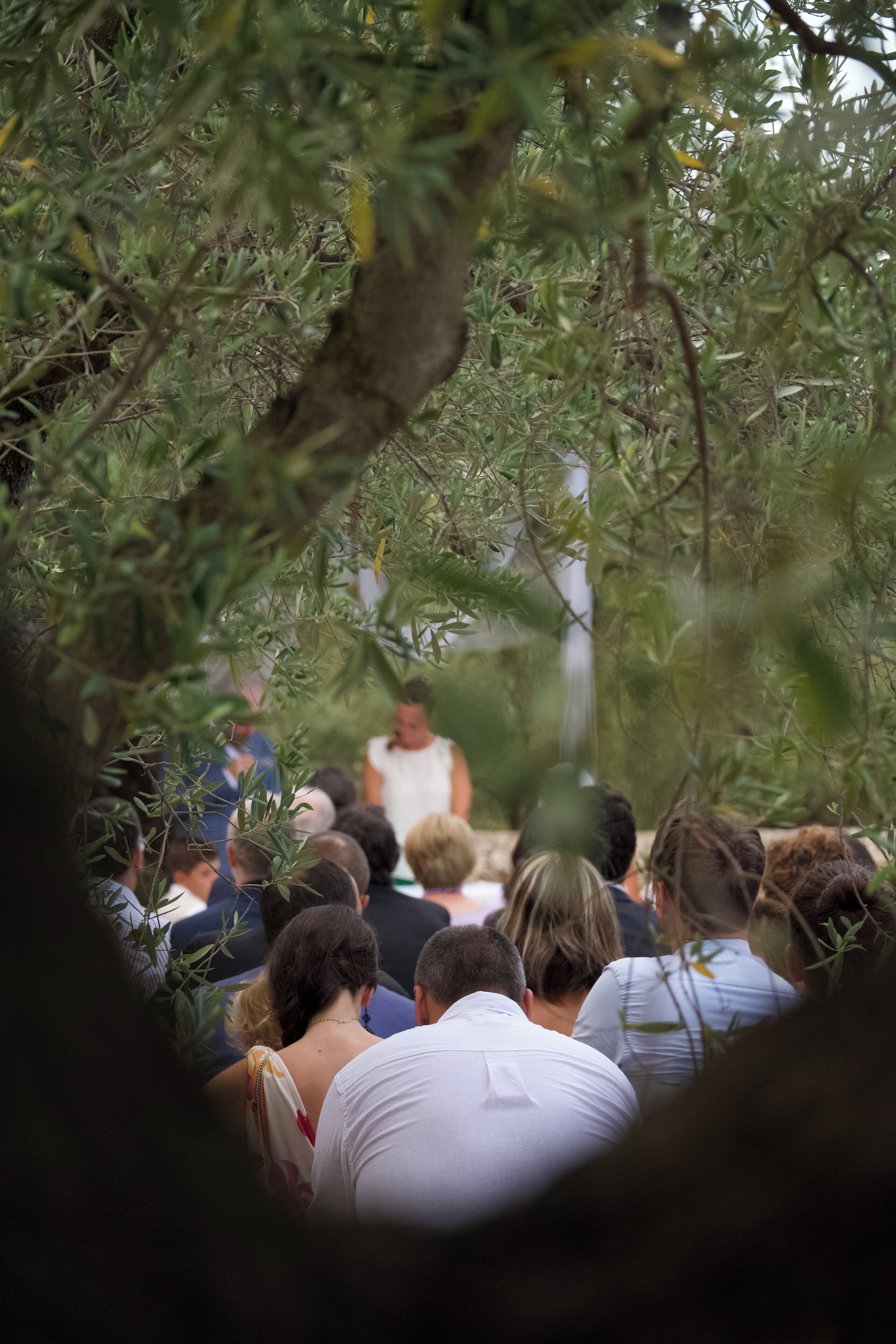 A group of people seated outdoors, surrounded by dense foliage.