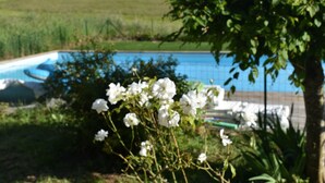 A swimming pool surrounded by greenery and a house in the background.