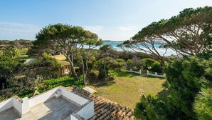 Una propiedad costera con un patio, árboles y vista al mar.