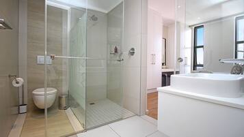 Shower, hair dryer, towels, soap