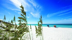 Playa