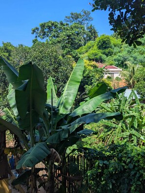 Property grounds - Charming little house with private pool near Hell-Ville, Aeroport, Lokobe. (hell ville)