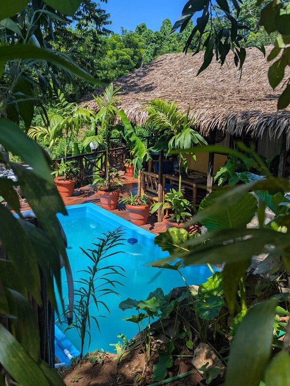 Pool - Charming little house with private pool near Hell-Ville, Aeroport, Lokobe. (hell ville)