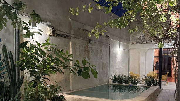 Un espace piscine doté d’une terrasse en béton, entouré de différentes plantes et comprenant un coin salon avec des chaises jaunes.