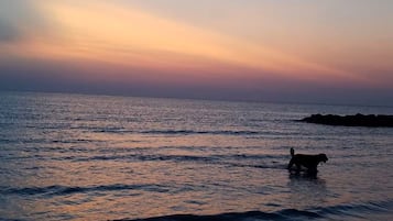 Nära stranden, solstolar och strandhanddukar