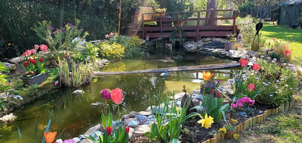 Property grounds - Un petit coin de paradis dans la garigue Nîmoise 2 pers. (Nîmes)