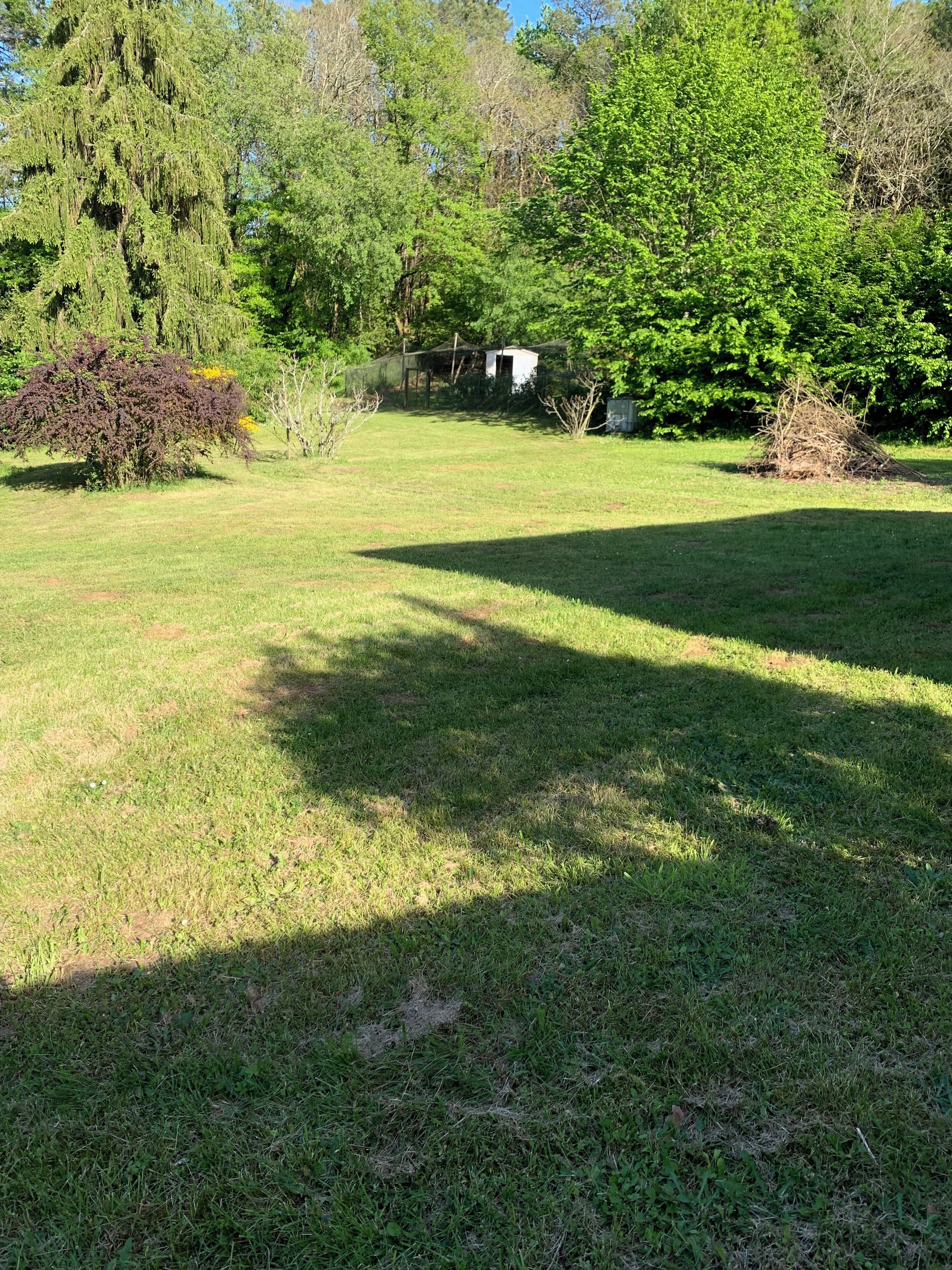 A grassy outdoor area with trees and a small structure.