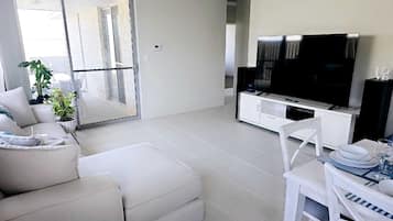 Televisor