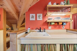 Shower, hair dryer, shampoo