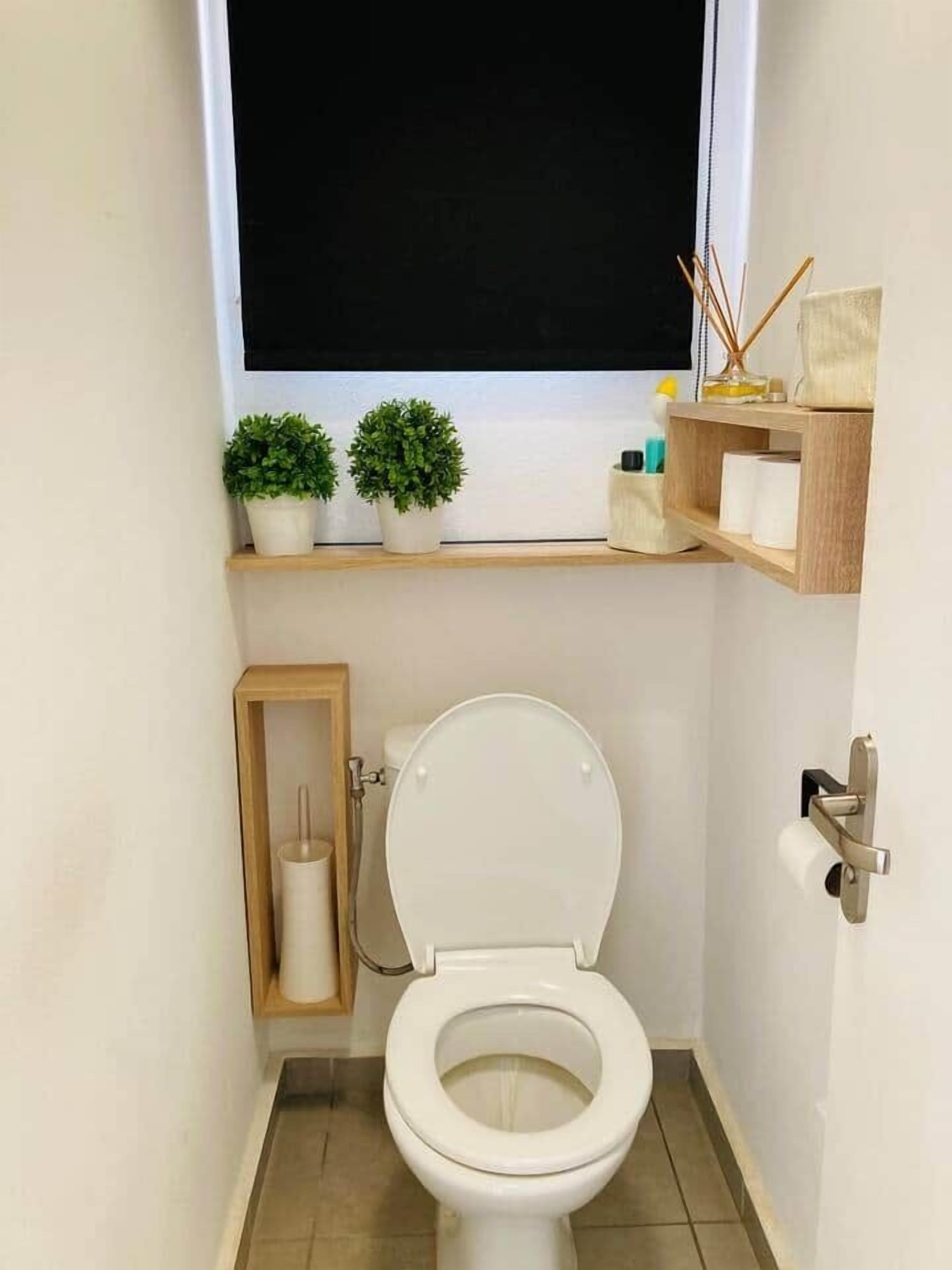 A small bathroom with a toilet, a window, and a shelf with plants and toiletries.