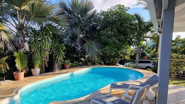 A swimming pool with lounge chairs, surrounded by potted plants and trees.
