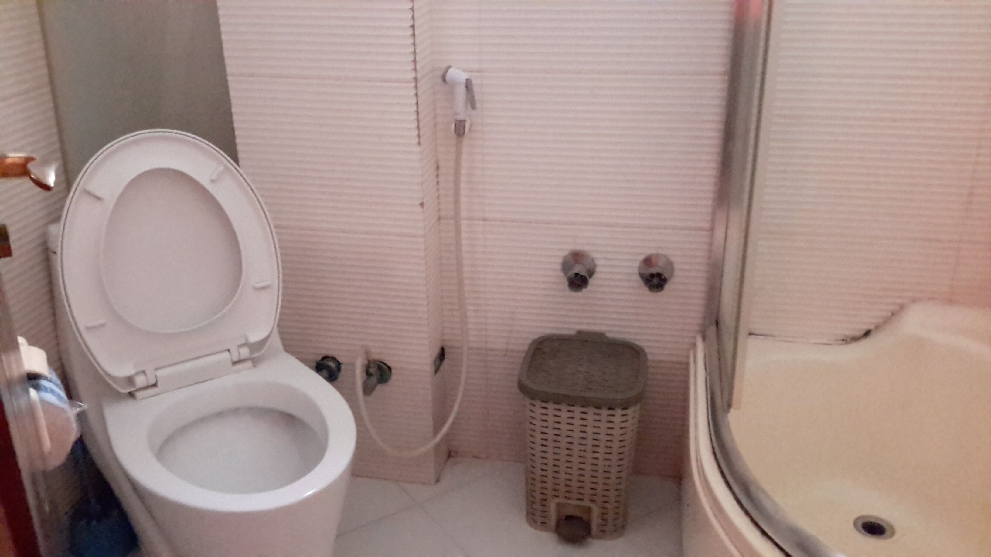 A bathroom with a toilet, a small trash bin, and a bathtub.