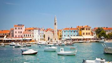 Apartment, 3 Bedrooms, Terrace, Garden View | View from property