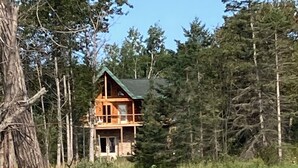 A wooden cabin with a green roof surrounded by tall trees and a wooden boardwalk leading to it.