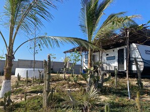 Experience the serene desert landscape with a cozy RV and scenic views of cacti and palm trees.