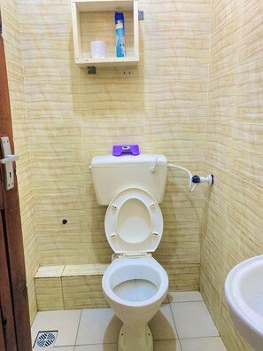 Shower, towels, soap, toilet paper