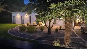 Una casa moderna con un césped bien cuidado, una entrada curva y una palmera.