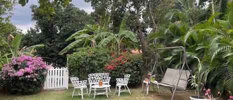 Terraza o patio