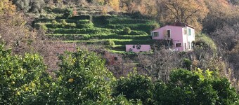 Family home between sea and hills - Charm, lemon trees & tranquillity