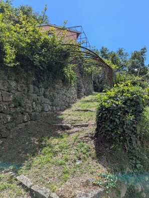 Terrain de l’hébergement 