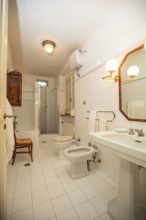 Hair dryer, bidet, towels, soap